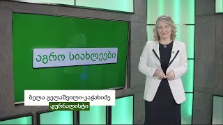 აგრო სიახლეები - გადაცემა 13 (სეზონი 15)