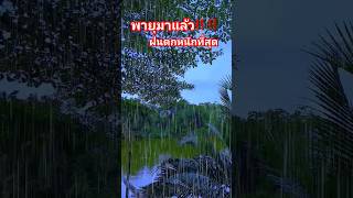 พายุมาแล้วฝนตกหนักที่สุด #พยากรณ์อากาศ #พยากรณ์อากาศวันนี้ #ฝนตกหนัก #ฝนตกลมแรง #พายุ #พายุเข้าไทย