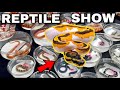 LARGEST Reptile EXPO I’ve ever seen!!!