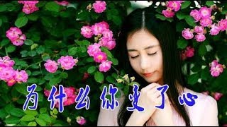 女歌手一首伤感民谣《为什么变了心》声声催泪，听哭多少痴情人！