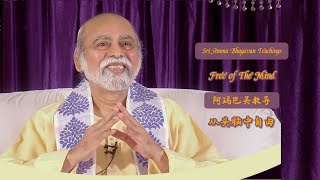 从头脑中自由 - 阿玛巴关教导 - Free of The Mind - Sri Amma Bhagavan - MF08