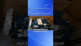 El Salvador, Kubota engine source supply #kubota #parts #kubotaengine #excavator #repair