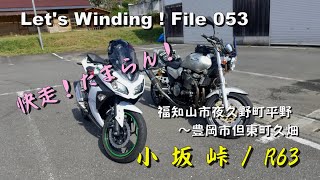 バイクde峠道／小坂峠・京都＆兵庫／R63