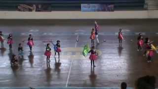 Db. Swara Melody Al-Irsyad Jember (Colour Guard Contest)