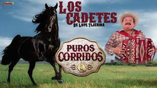LOS CADETES DE LINARES - PUROS CORRIDOS (PLAYLIST OFICIAL)