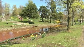 Red dye travels down Scajaquada Creek to Forest Lawn Cemetery