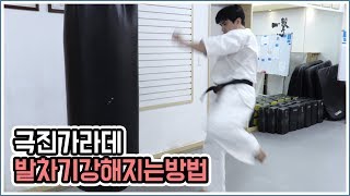 극진가라데 발차기 강해지는 법, 킥 강해지는 운동법 How to get stronger kicking