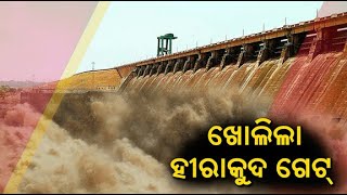 ଖୋଲିଲା ହୀରାକୁଦର ୧୦ ଟି ଗେଟ ||Knews Odisha || Knews Odisha