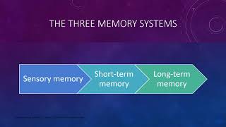 Chapter 6 Memory module A