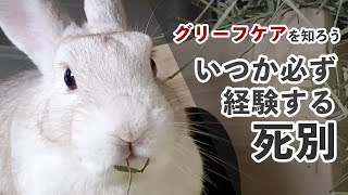 ペットとの死別 グリーフケアを知ろう