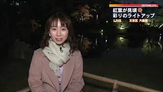 六義園で紅葉が見頃…ライトアップも　東京・文京区