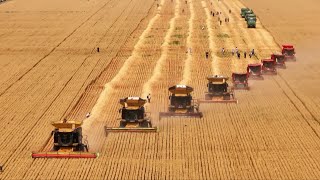 High-tech empowers China's grain harvest