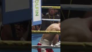 Hayato Tsutsumi vs Rene Alvarado, último KO del año #boxing #boxeo