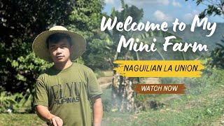 Welcome to My Mini Farm - Naguilian, La Union