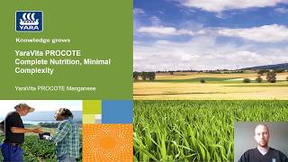 Yara Crop Nutrition Corner: YaraVita PROCOTE Manganese