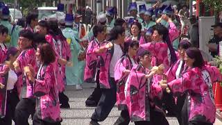 福山市役所連 幸盛隊 2017ふくのやまよさこい 宮通り mususukunjp