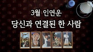 [타로] 3월에 나와 연결된 인연🦋 특징, 관계흐름, 시기👩‍❤️‍👨