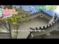 岐阜 大垣 大垣市 城下町 japan 観光スポット 旅行動画 一人旅 旅行 travel 岐阜旅行 岐阜観光 gifu 石田三成 大垣公園 西濃 大垣城