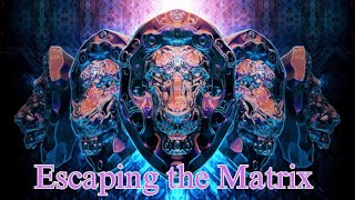 Escaping the Matrix - Becoming Neo