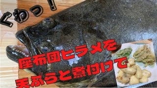 【魚突き】座布団ヒラメを天ぷらと煮付けにしたら最高だった