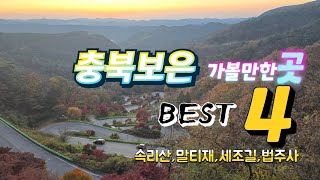 속리산이 위치한 충북 보은을 아시나요? 보은 가볼만한곳 BEST 4