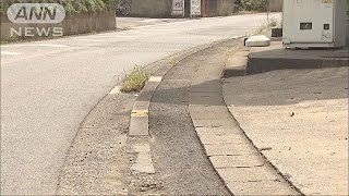 複数の男が・・・さいたま市の路上で“強盗”3件相次ぐ(15/08/22)