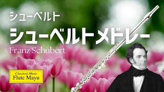 【フルートandピアノ】シューベルトメドレー: アヴェマリア/菩提樹 / セレナーデ: Schubert / AveMaria / Der Lindenbaum / Serenade