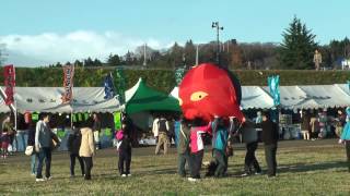 むこうの伊達さん 牛鬼マキオパレードin大崎   20151121