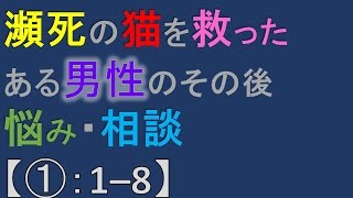 発言小町　秋刀魚さんの相談(1) 瀕死の猫を拾い、後悔している男性の相談トピックス