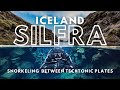 I Went Snorkeling In Iceland's TECTONIC PLATES