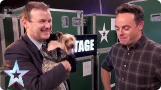 MAX THE DOG CHASES BGT PRESENTER! | Britain's Got Talent