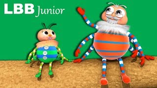 The Spider Song | Original Kids Songs | By LBB Junior