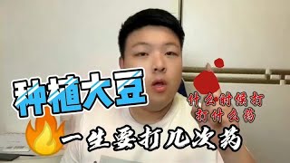 大豆种植，一生打几次药？分别打什么？