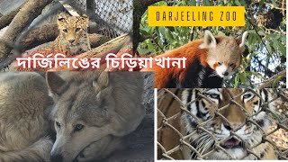 দার্জিলিং চিড়িয়াখানা 2025| Darjeeling Zoological Park | Darjeeling Zoo #darjeeling #zooo