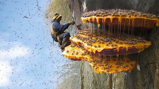 The Hallucinogenic Hunt: Nepal's Mad Honey