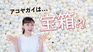 美容家・石井美保が真珠の秘密を徹底調査！