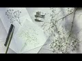 簡単！かすみ草の描き方【ペン画と水彩イラスト】how to draw baby s breath