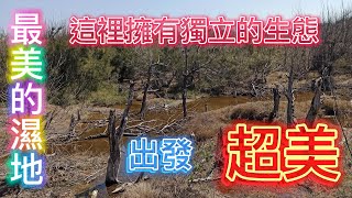 【星的愛釣魚記】 第47集 (上篇) 傳說路邊就有的海邊生態魚秘境！超美的！滿滿的魚 還有隱藏的大魚霸主在此處棲息！ #這就是我的釣釣 夫妻釣旅 #台湾釣り #대만낚시 #Taiwan #fishin