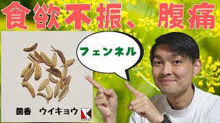 【漢方】茴香（ウイキョウ）１分で分かる　生薬解説