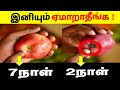 🧐நல்ல பழங்களை  பார்த்து வாங்குவது இப்படித்தான்| how to pick good fruits  | Multi facts in Tamil