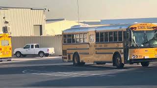 Bus 501 and Bus 502 in Rialto