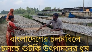 বাংলাদেশের চলনবিলে চলছে শুটকি উৎপাদনের ধুমI Dry fish#natorenews #natorekrishibdayen