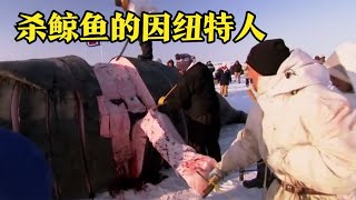 吃鯨魚獵殺鯨魚，2024年因紐特人的生活就是如此！ #科學實驗 #科學試驗 #格蘭特 #亞當 #傑米