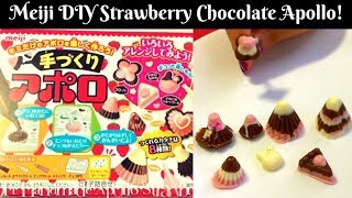 Meiji DIY Strawberry Chocolate Apollo!