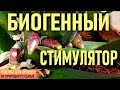 ❗️БИОГЕННЫЙ СТИМУЛЯТОР ДЛЯ ОРХИДЕЙ - КОРНИ, ЛИСТЬЯ И ЦВЕТОНОСЫ ЗА 2 НЕДЕЛИ! ЗОЛОТОЙ УС ДЛЯ ОРХИДЕЙ❗️