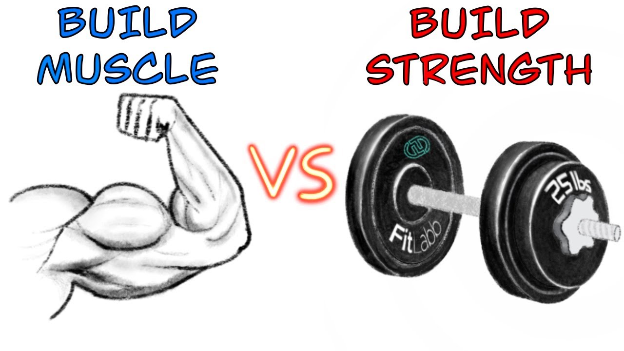 Strength Training Not Building Muscle At Valeria Sturm Blog
