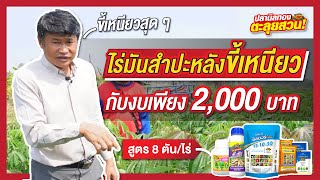 ตะลุยสวน EP.25 ตอน ปลูกมันสำปะหลังขี้เหนียว ใช้งบเพียง 2,000 บาท !!!