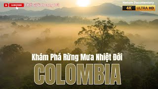 Rừng mưa nhiệt đới COLOMBIA | Ngôi nhà của động vật hoang dã vùng nhiệt đới. #thegioidongvat