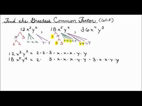 Greatest Common Factor Algebraic Equations Tessshebaylo