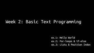 Möbius Modeller: Basic Text Programming